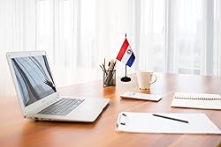 Paraguay Paraguayan Small Mini Desk Flag Set