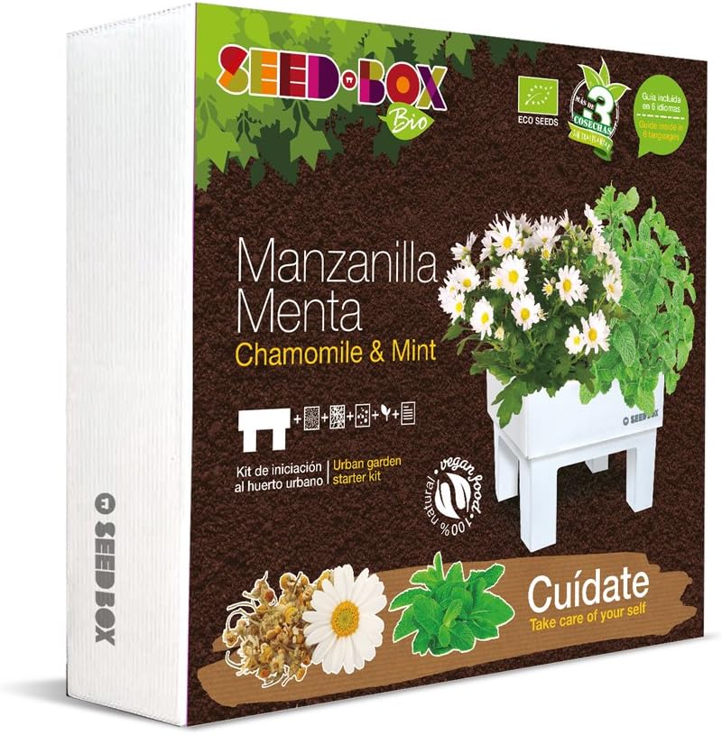 SEEDBOX BIO CAMOMILE & MINT