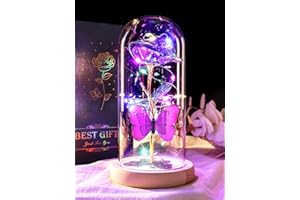 DEEMEI Valentines Day Gifts for Her, Valentines Gifts for Women, Valentines Gifts for Mom,Galaxy Purple Rose Gifts for Mothers Day Birthday Christmas Crystal Flowers Light Up Rose in Glass Dome