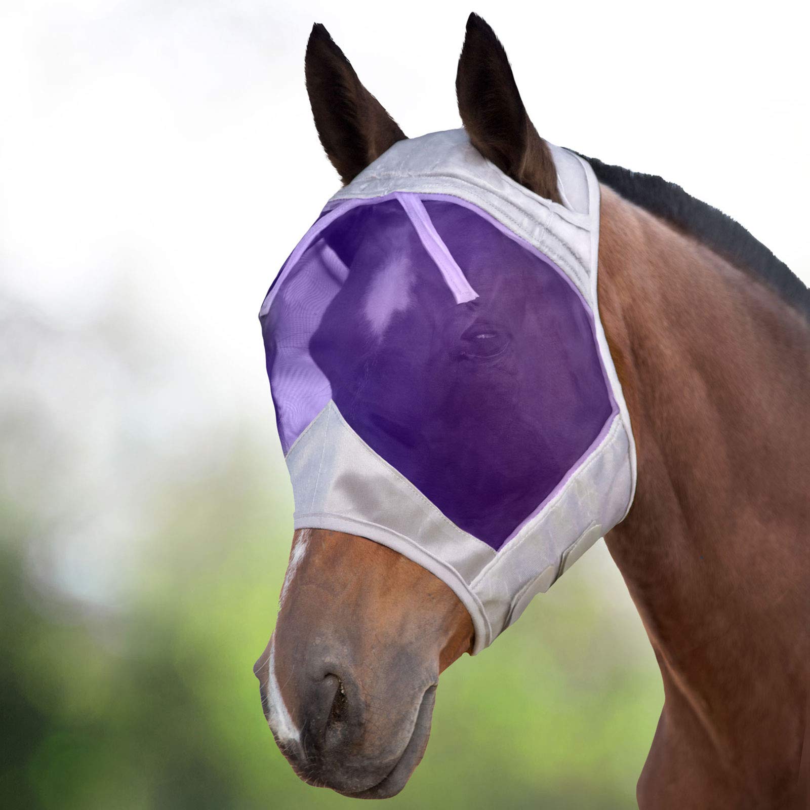 Harrison Howard CareMaster Thick Fleece Padding Translucent Fine Mesh Horse Fly Mask Standard Silver/Purple Retro Medium Cob