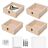 Insect Specimen Toolbox Kit, 4 Clear Top Wooden Box