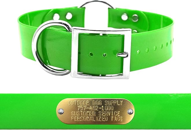 dog hunting collars with nameplates