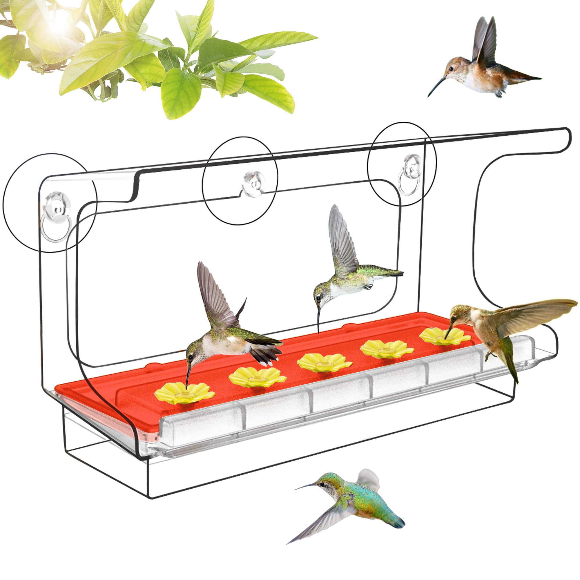 Photo 1 of LUJII All One Piece Window Hummingbird Feeder with 5 Strongest Suction Cups, 20 fl.oz Hummer Feeder for Outside, Removable Lift-up Nectar Tray with 5 Feeding Ports, Gift for Bird Lover (Clear)
