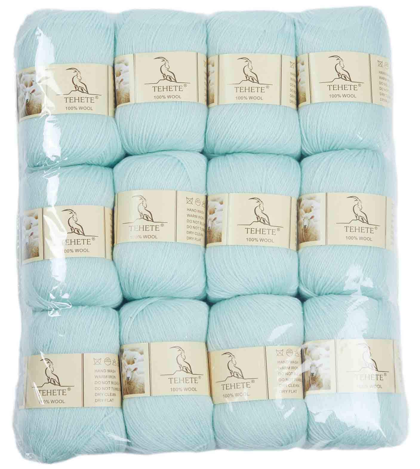 TEHETE 100% Wool Yarn for Knitting and Crochet Yarn, 3ply, Soft and Luxurious Set of 12-Mint