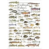 Earth Sky + Water - Freshwater Fishes of the Northeast - Poster