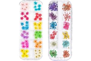 3D Nail Dried Flowers Sticker Set CHANGAR Real Dried Flowers for Nail Art & Resin Craft DIY Five Petal Flower Leaf Gypsophila Dry Flower Nail Art Decoration Kits(2 Boxes)