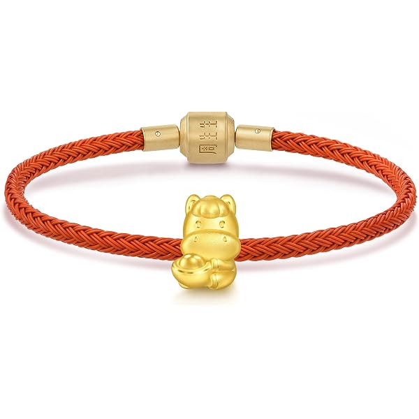 Amazon.com: CHOW SANG SANG 999 24K Gold Charme Zodiac Pig Charm