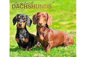 For the Love of Dachshunds | 2026 14 x 24 Inch (Hanging) Monthly Deluxe Wall Calendar | Foil Stamped Cover | Plastic-Free | B