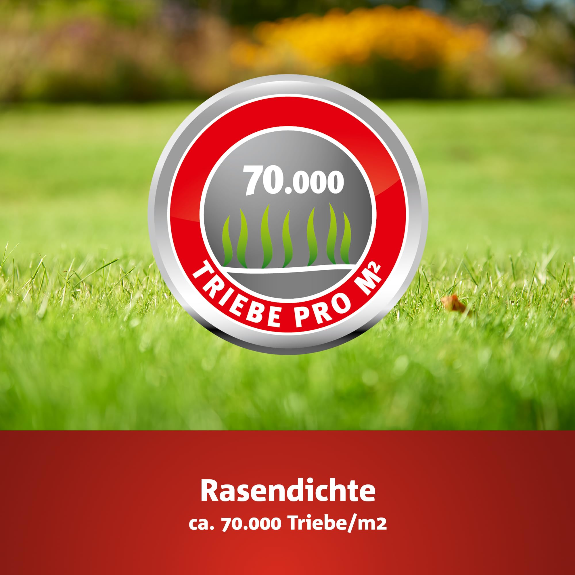 WOLF-Garten Turbo-Nachsaat zur Rasensanierung LR120 (für 120 m2, hohe Dichte mit ca. 70.000 Trieben/m2, für alle Rasentypen geeignet, mit WOLF-Garten Keimgarantie, im 2,4kg Karton) 3826042 3