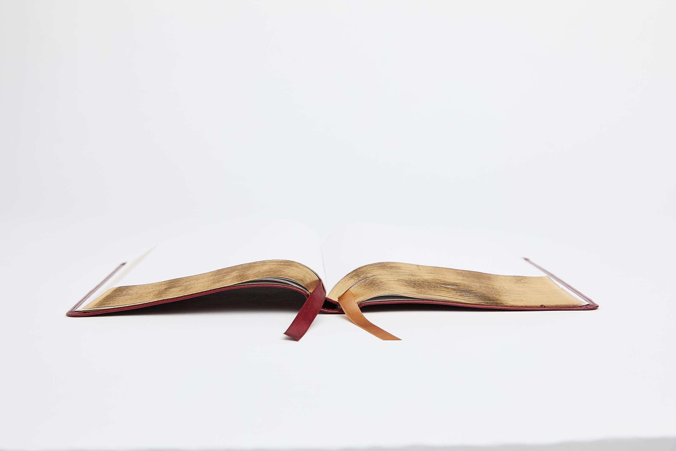 NRSV, Catholic Bible, Standard Personal Size, Leathersoft, Red, Comfort Print: Holy Bible NRSV, Catholic Bible, Standard Personal Size, Leathersoft, Red, Comfort Print: Holy Bible Imitation Leather Hardcover Paperback Audio CD