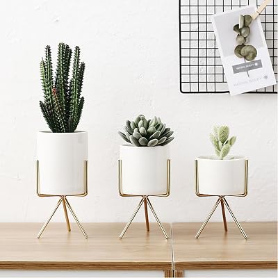 5 inch Modern Minimalist Indoor White Ceramic Pot 5 inch Modern Minimalist Indoor White Ceramic Pot