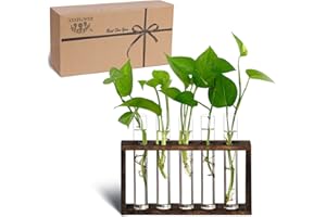 XXXFLOWER Plant Propagation Station Terrarium with Test Tube Desktop Hydroponics Rack, 5 Planter Glass Vase with Wooden Holde