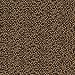 API BOTTOM FEEDER PELLETS WITH SQUID Fish Food 4.0-Ounce Container