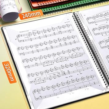 La Carpeta De VisualizacióN A4 20/30 Bolsillo Se Puede Modificar ...