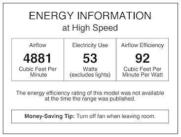Westinghouse Lighting 7214100 Harmony 48 Inch Brushed Nickel