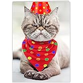 Funny Cat Birthday Card for Women, Men, Coworkers, Friends & Family - no cats were harmed in the making of this card.