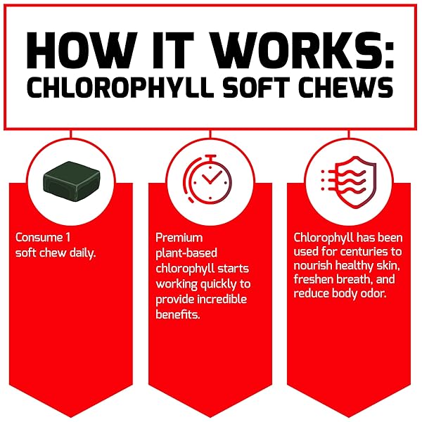 FORCE FACTOR CHLOROPHYLL SOFT CHEWS ANTIOXIDANTS SUPPLEMENT TO REDUCE BODY ODOR, PROMOTE FRESH BREATH, NON-GMO, GLUTEN-FREE, AND VEGAN, FRESH MINT FLAVOR, 30 SOFT CHEWS, GREEN
