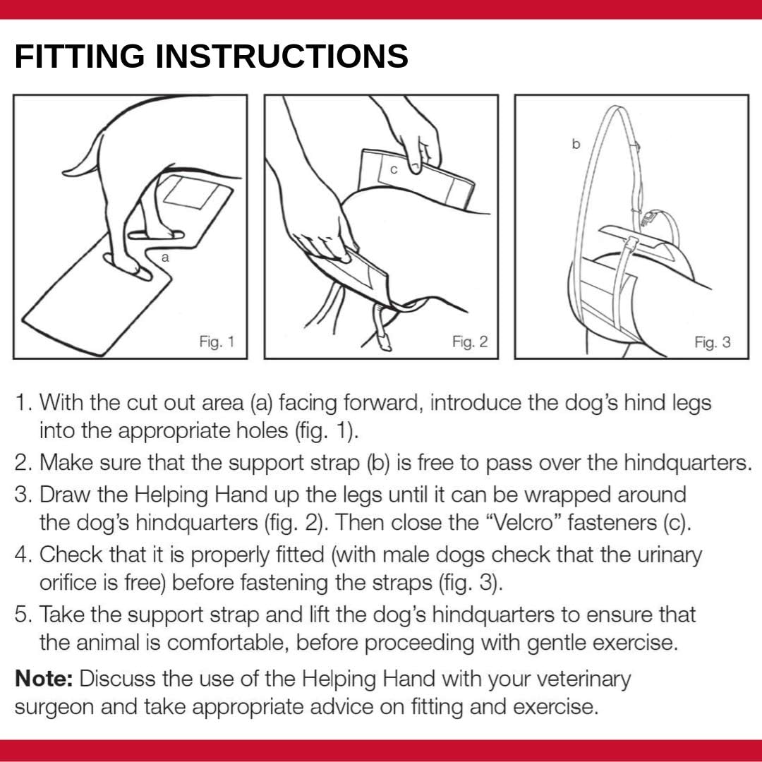Mikki Dog, Puppy Helping Hands Dog Lifting Harness - Lift Support Sling, Mobility Aid - Extra Large, Silver, XL - Image 5