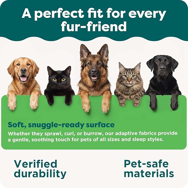 FURHAVEN ORTHOPEDIC DOG BED FOR LARGE DOGS W/ REMOVABLE BOLSTERS & WASHABLE COVER, FOR DOGS UP TO 95 LBS – PLUSH & SUEDE SOFA – ESPRESSO, JUMBO/XL