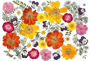 AHTONG 48 Pcs Mix Natural Dried Pressed Flowers for Cake Decorating, Real Dry Flower for Resin Jewelry Making, DIY Art Crafts - Muticolor