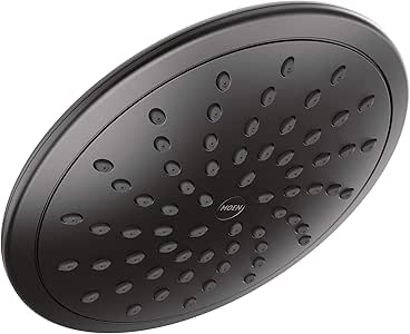 moen 8 inch rain shower head