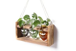 Plant Terrarium Propagation Stations Hydroponics Home Garden Decoration Gift for Women with Wooden Stand Heart Shaped Colored