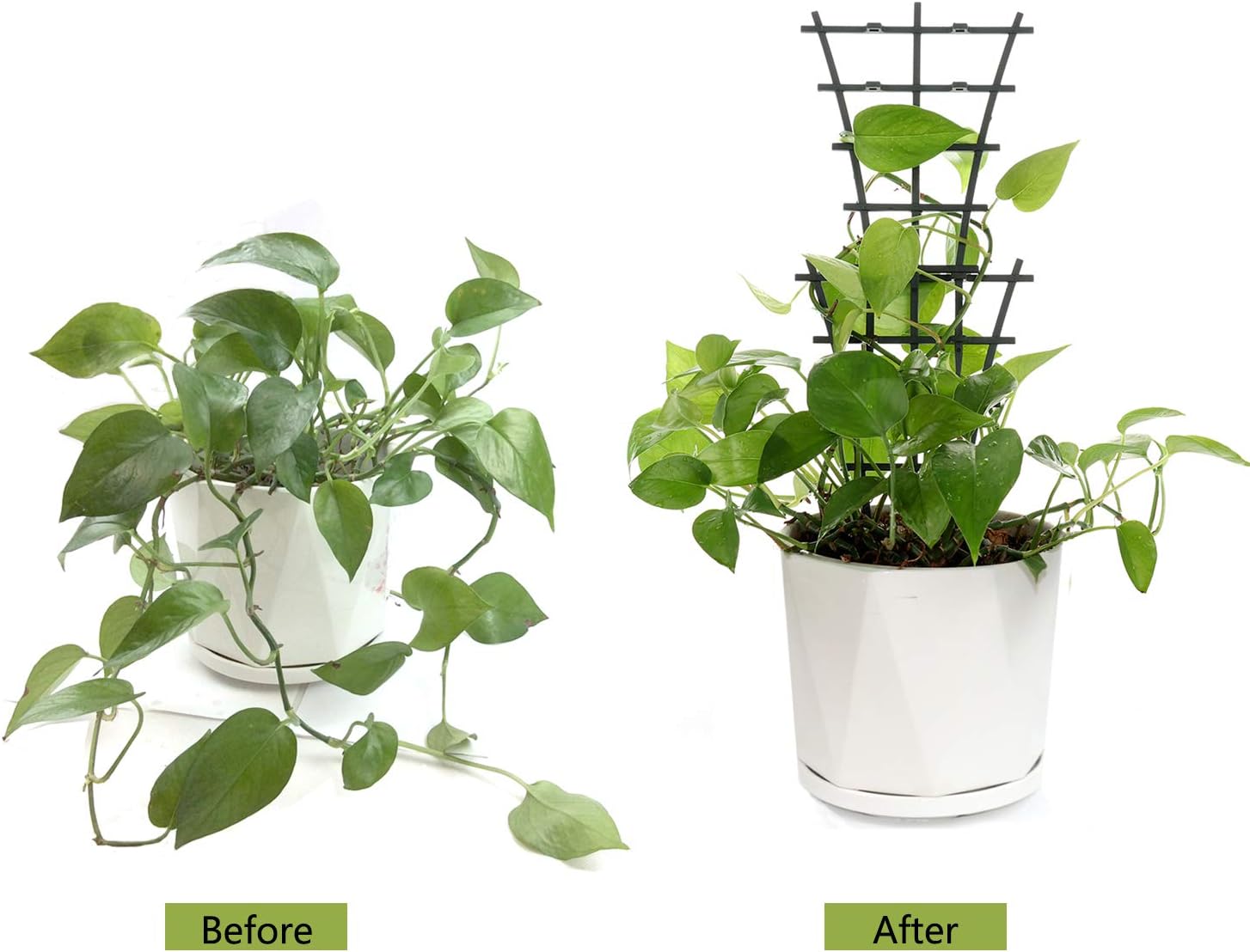 12 Pcs Garden DIY Mini Climbing Trellis Plastic
