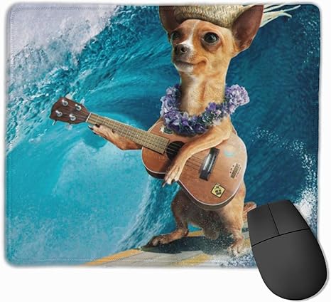 chihuahua accessories uk