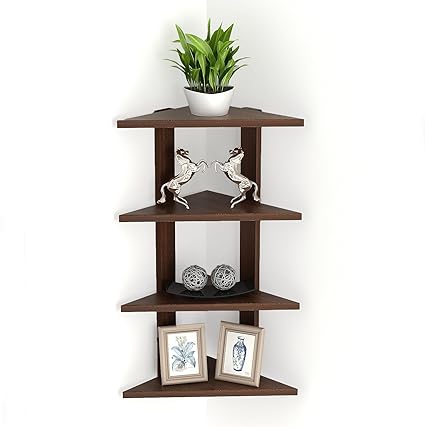 Wudville Braine Wall Corner Shelf/Display Rack