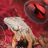DERNORD Infrared Red Light 50W Reptile Heat Lamp 2 Pack E27 220-240V view 5