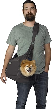 pomeranian carrier