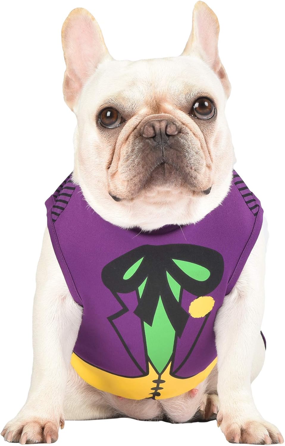 DC Comics Joker Dog Costume
