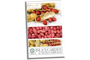 Tennessee Red Peanut Seeds for Planting, 20 Peanut Seeds Per Packet, (Isla's Garden Seeds), Non GMO Seeds, Botanical Name: Arachis hypogaea, Fun Home Garden Gift