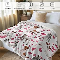 BlessLiving Red Hearts Dog Cat Print Plush Blanket
