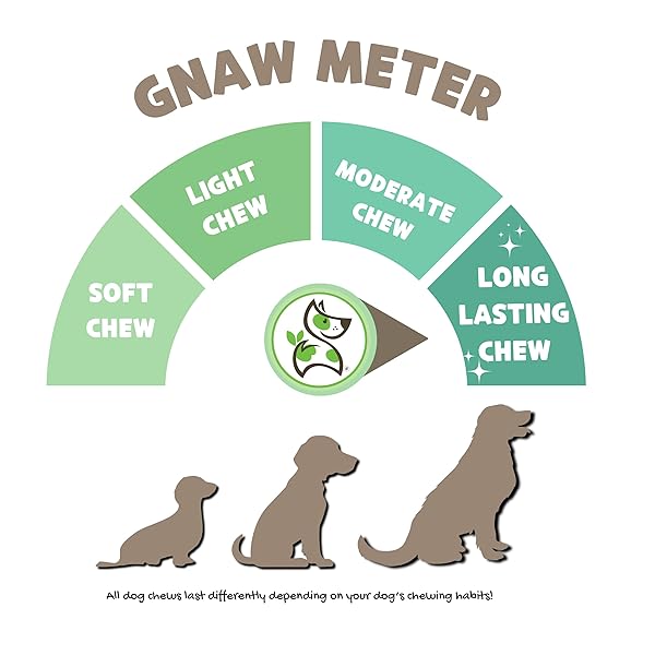 NATURE GNAWS PORK SKIN CHEWS FOR DOGS – PREMIUM NATURAL TASTY JERKY TREATS – LONG LASTING DOG CHEW BONES – RAWHIDE FREE 6 COUNT (PACK OF 1)