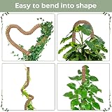 K-Brands Moss Pole 2 Pack 160 cm Bendable Plant Support Sticks with Ties view 6