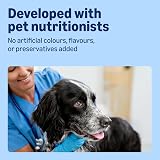 by Amazon Dog Food Paté with Beef 300g Pack of 20 Lifelong view 4