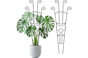 2 Pack Large Metal Trellis for Potted Plants, 33 Inch Monstera Plant Support Stakes for Indoor Climbing Plants, Expandable Ga