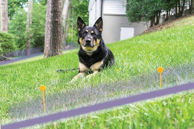 free spirit dog shock collar