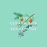 Neom Focus The Mind Essential Oil Blend 10ml Pine Cedarwood Eucalyptus view 2