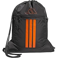 Amazon.com: Stadium Team Sports Backpack for men and women (36L