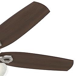 Hunter Fan Company Hunter Indoor Ceiling Fan, with