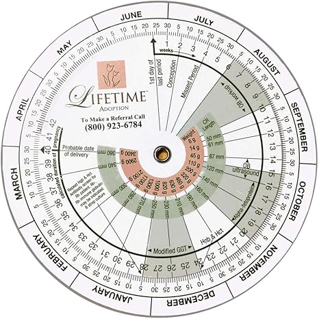 Amazon Com Pregnancy Wheel Designed For Ob Gyn Doctors Midwives Nurses And Patients To Calculate Due Date When Pregnant Health Personal Care