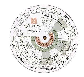 Buy Pregnancy Wheel: Designed for OB/GYN, Doctors, Midwives ... Buy Pregnancy Wheel: Designed for OB/GYN, Doctors, Midwives ...