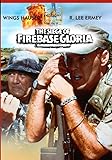The Siege Of Firebase Gloria
