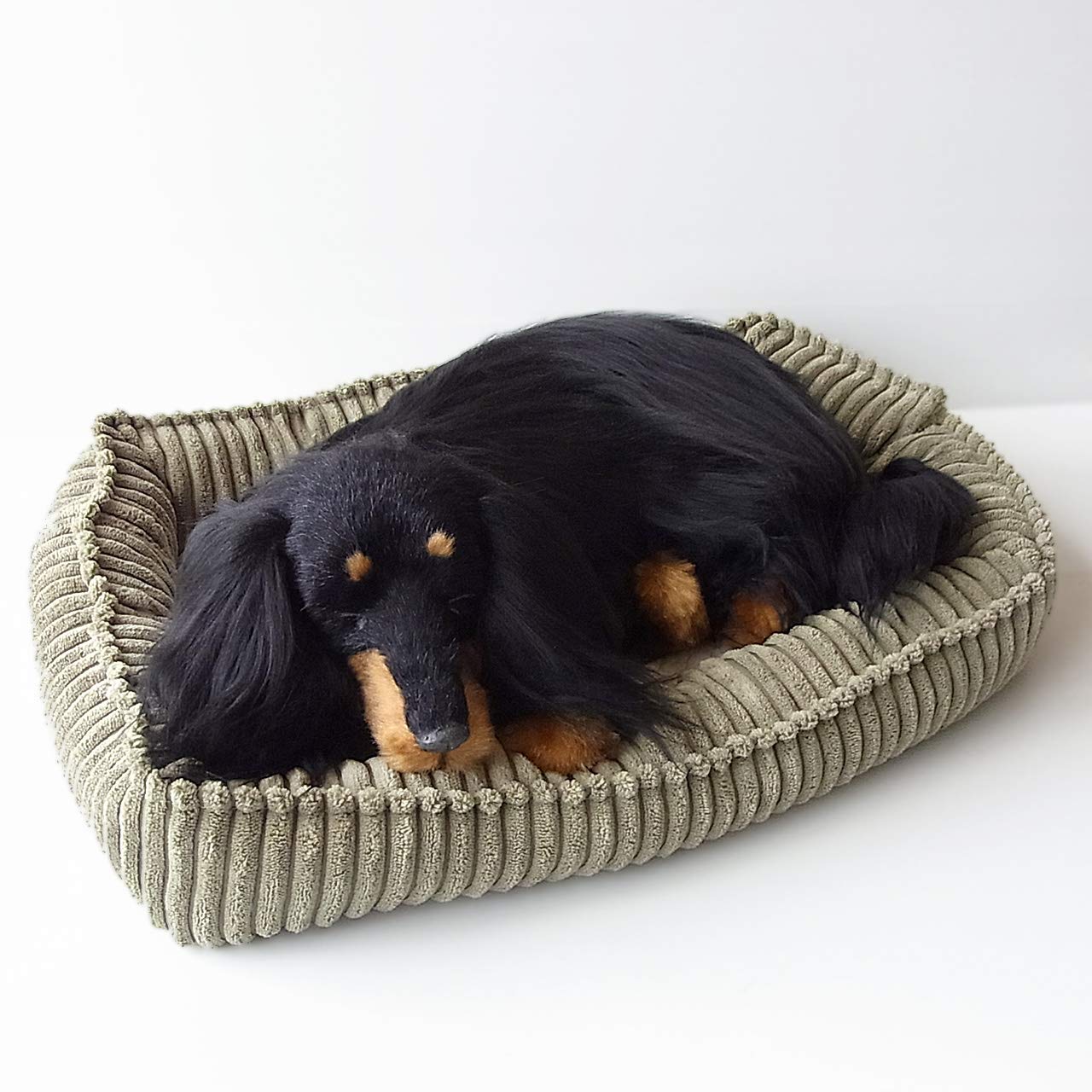 Mua パーフェクトペット スヤスヤ息をしてるようにお腹が動くぬいぐるみ ダックス ロング ブラックタン 大 Tren Amazon Nhật Chinh Hang Fado