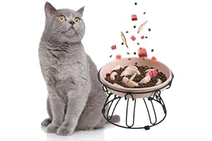PTOBER Elevated Slow Feeder Cat Bowls - Ceramic Cat Food Bowl with Anti-Slip Metal Stand - Pastel Series Slow Feeding Cat Plate - Raised Cat Dish Maze Healthy Eating - Cat Puzzle Feeder - 7 OZ - Light Pink