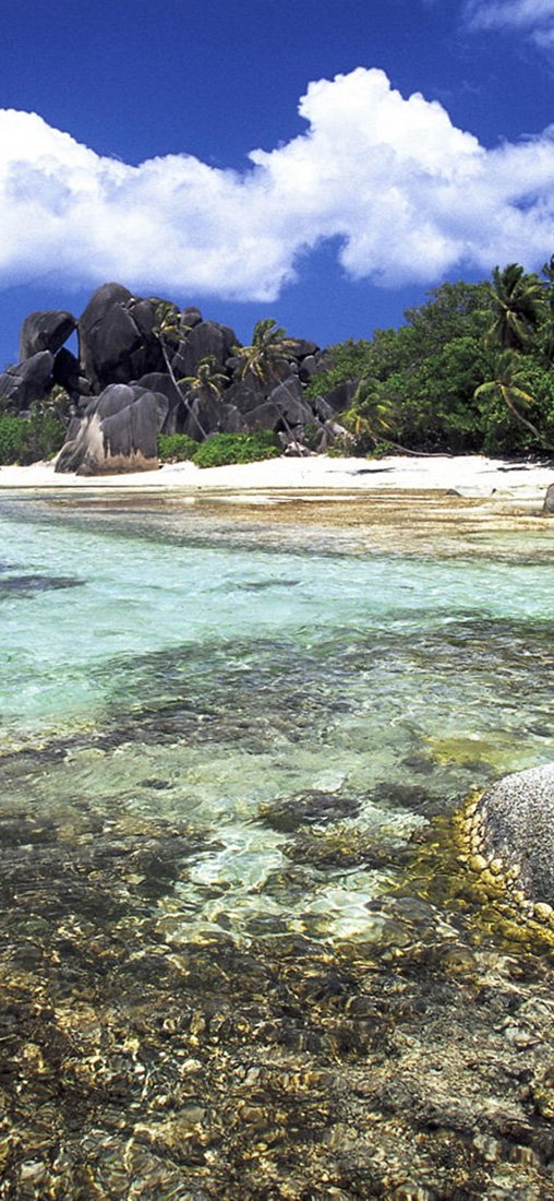 PeelitStickit, Beautiful Nature Wall Murals, ID-1369, vinyl