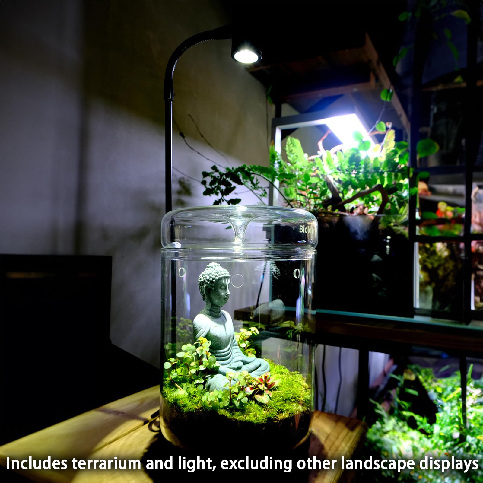 View 5