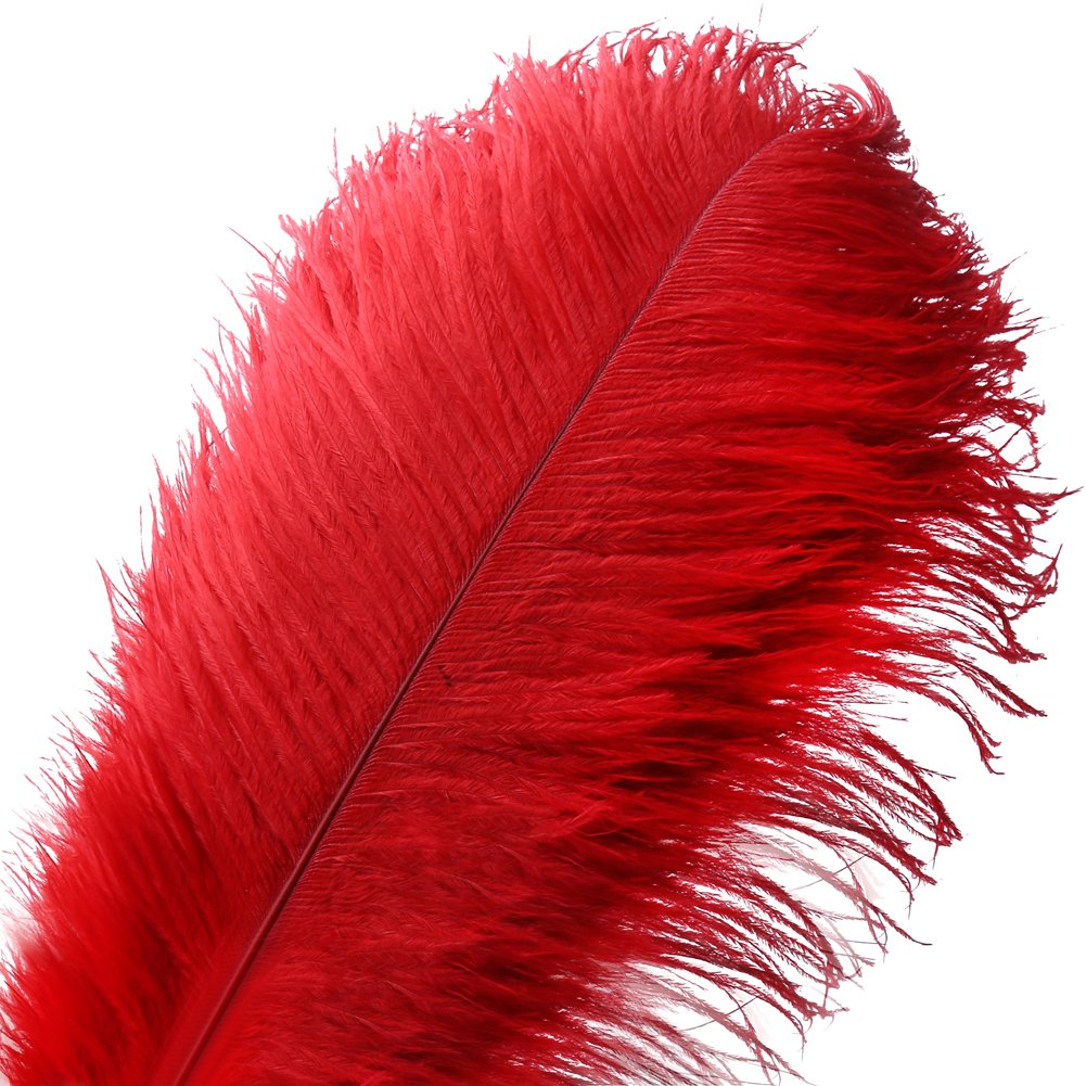 Voilalove 10pcs Natural Ostrich Feather Craft 16-18inch(40-45cm) Plume for Wedding Centerpieces Home Decoration (40-45cm,Red)